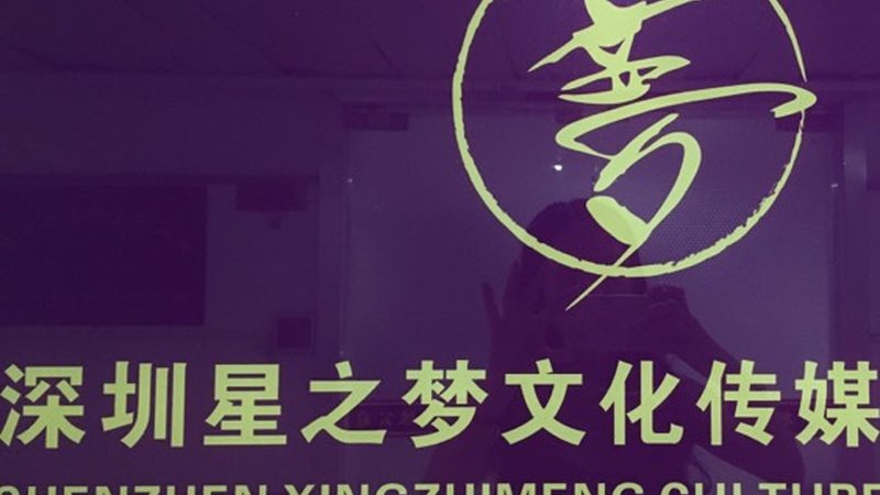 品牌策划方案：解码其优缺点，助力企业精准决策