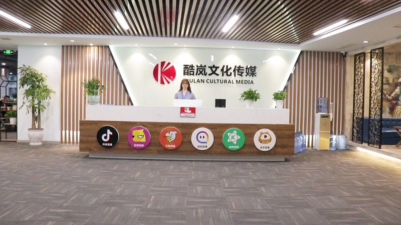 企业公关传播的十大品牌：揭秘塑造品牌影响力的秘密武器