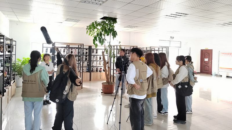 品牌设计与平面设计：本质差异与应用场景