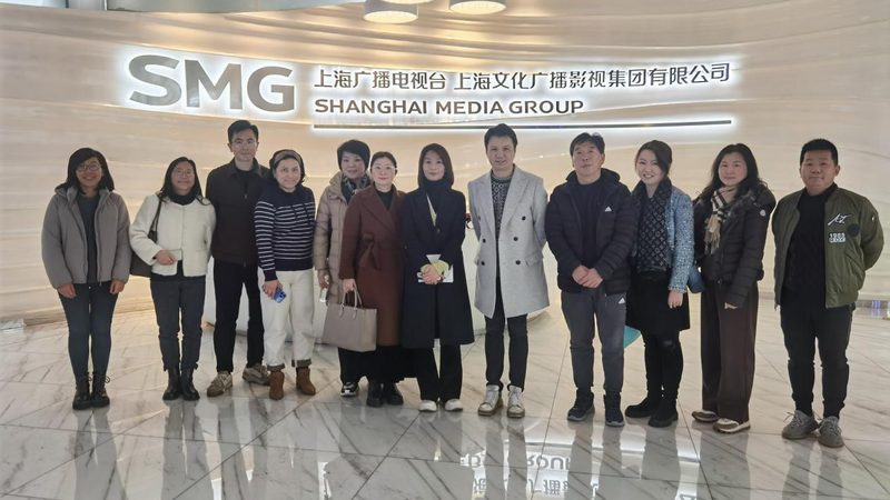品牌策划设计定制的核心要素与趋势洞察